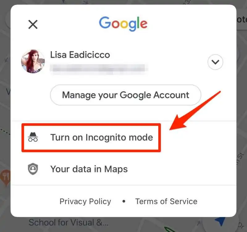 modalita' incognito google maps