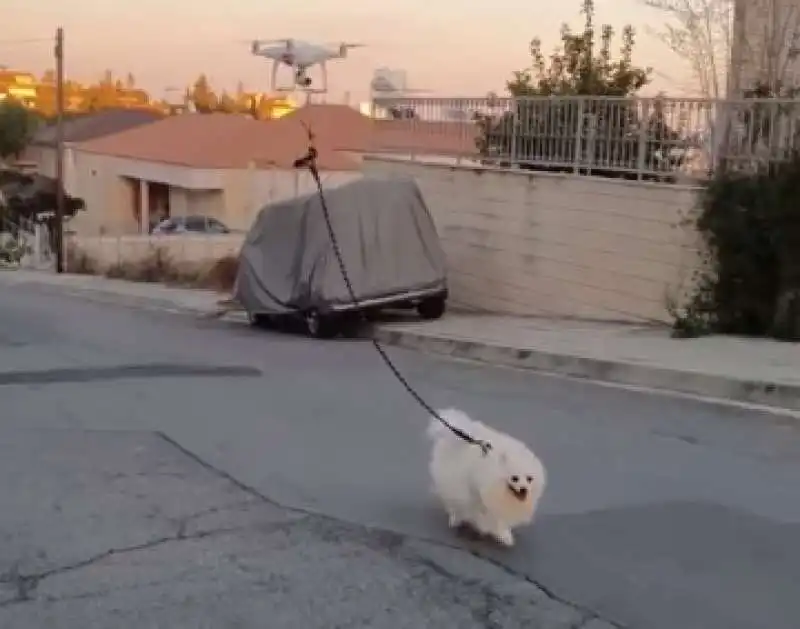 PORTARE IL CANE A SPASSO CON IL DRONE