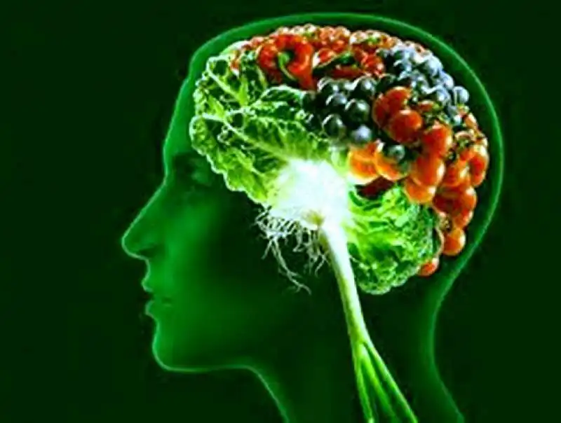 dieta per potenziare il cervello 2