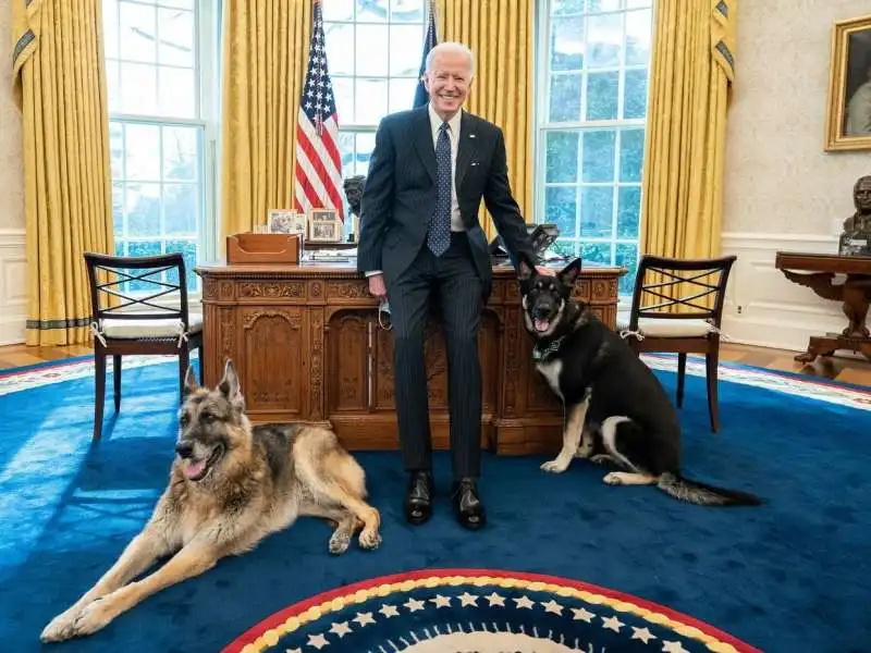 i cani di joe biden alla casa bianca