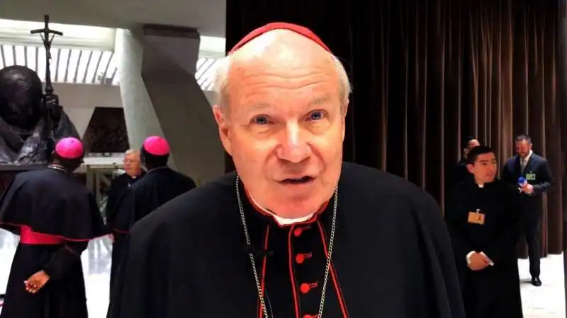 il cardinale christoph schonborn