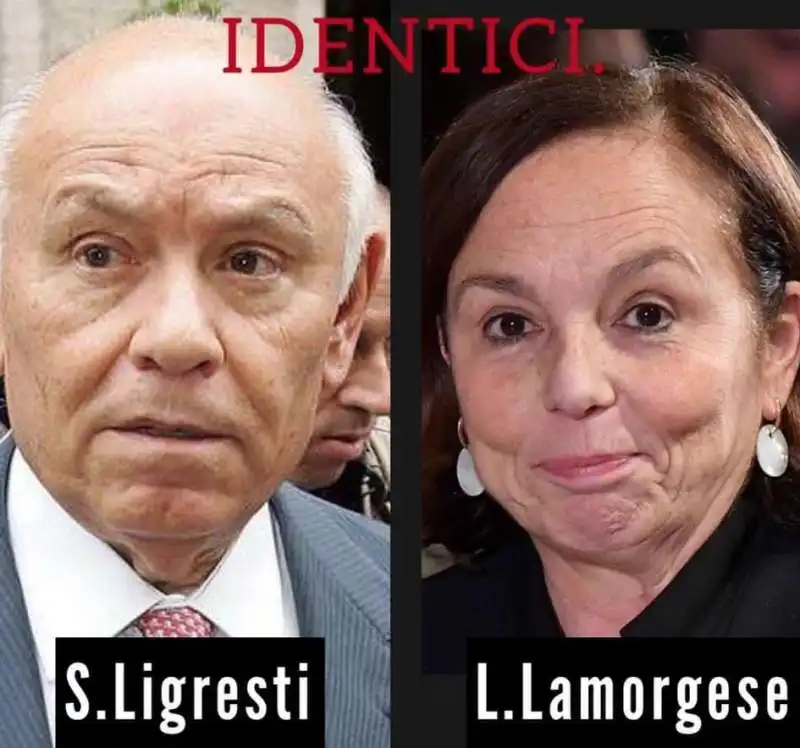 LIGRESTI E LAMORGESE SEPARATI ALLA NASCITA