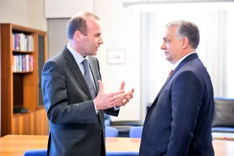 MANFRED WEBER VIKTOR ORBAN 