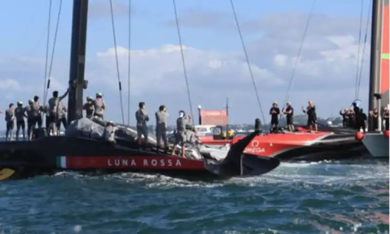 new zealand luna rossa