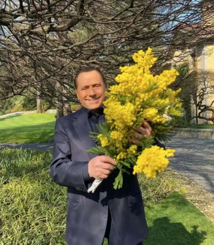 SILVIO BERLUSCONI CON LE MIMOSE