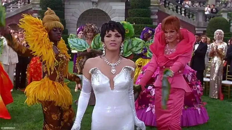 a wong foo! grazie di tutto, julie newmar.   