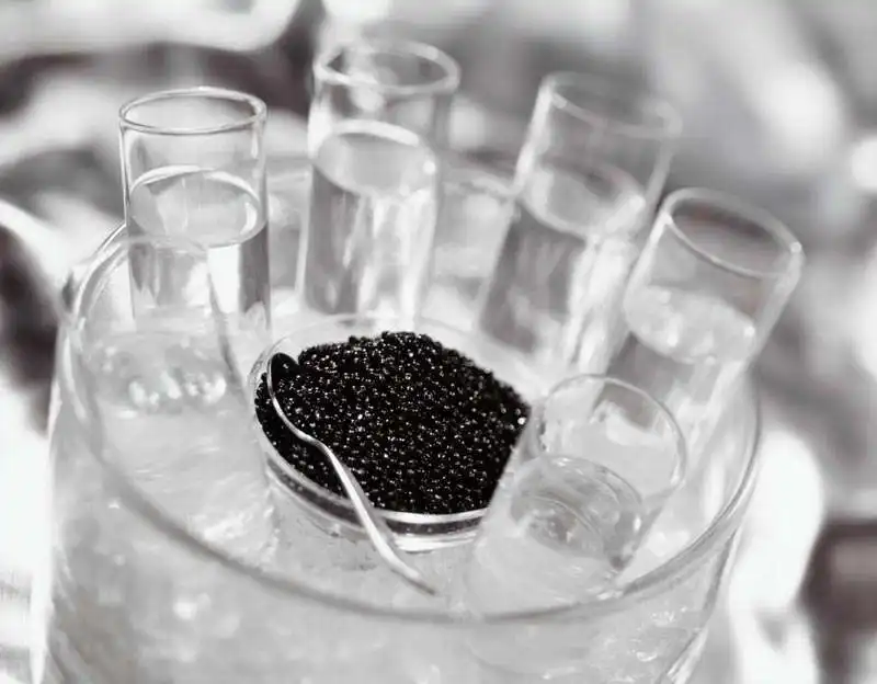 caviale e vodka 1