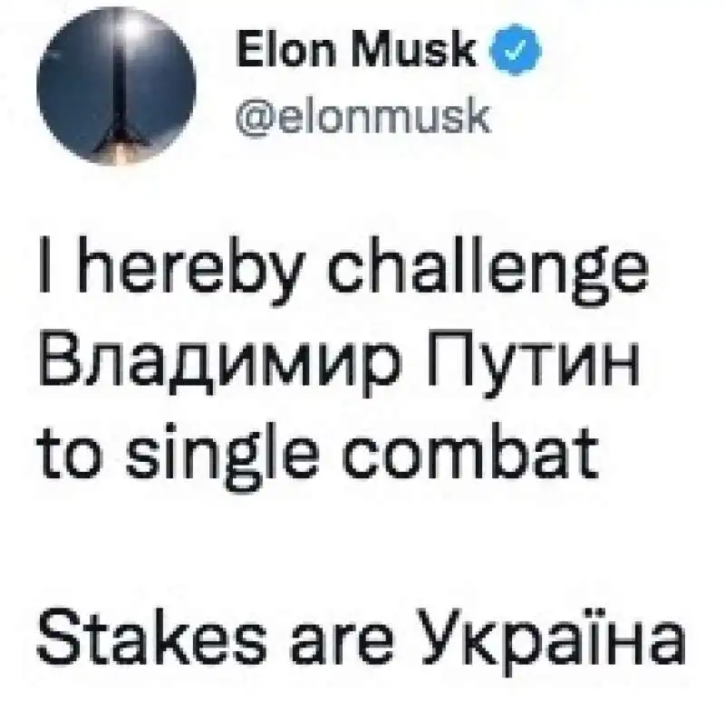 elon musk sfida putin a singolar terzone