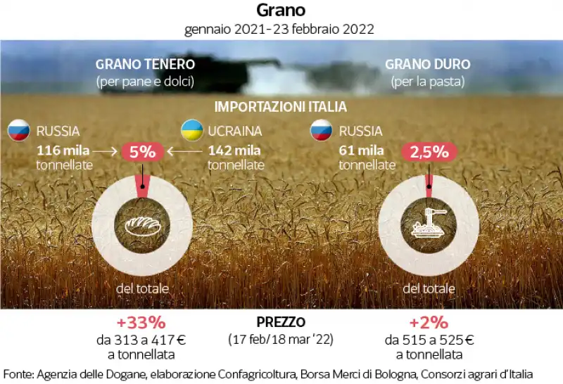 grano