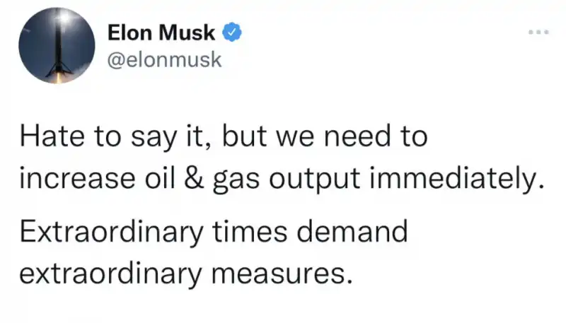 IL TWEET DI ELON MUSK SU GAS E PETROLIO