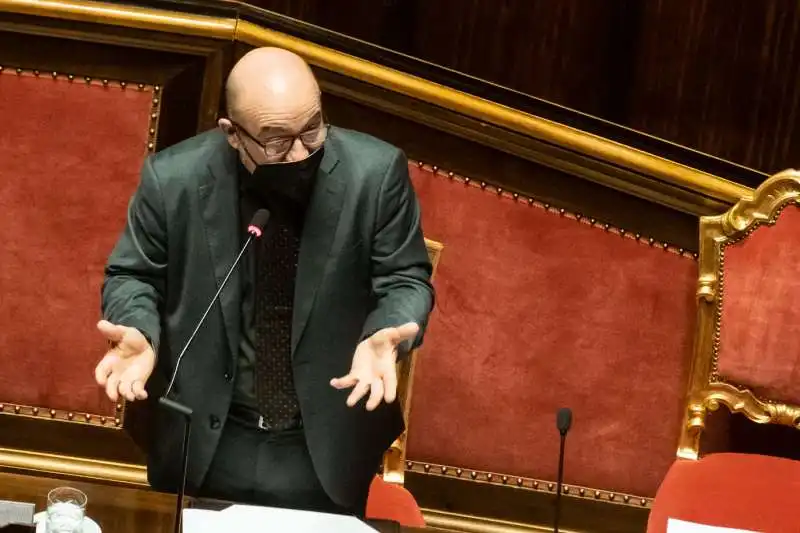 informativa di roberto cingolani al senato    1