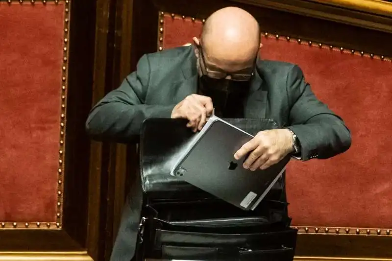 informativa di roberto cingolani al senato    3