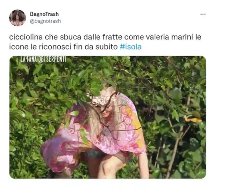 isola dei famosi 9