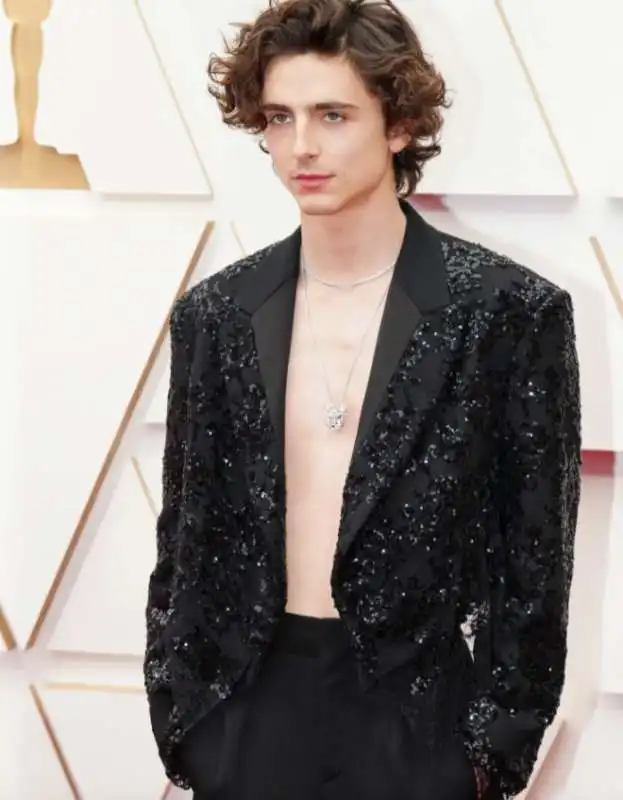  timothee chalamet