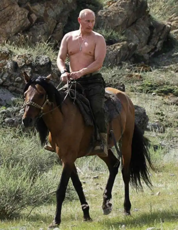 vladimir putin a cavallo 