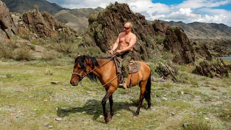 vladimir putin a cavallo  