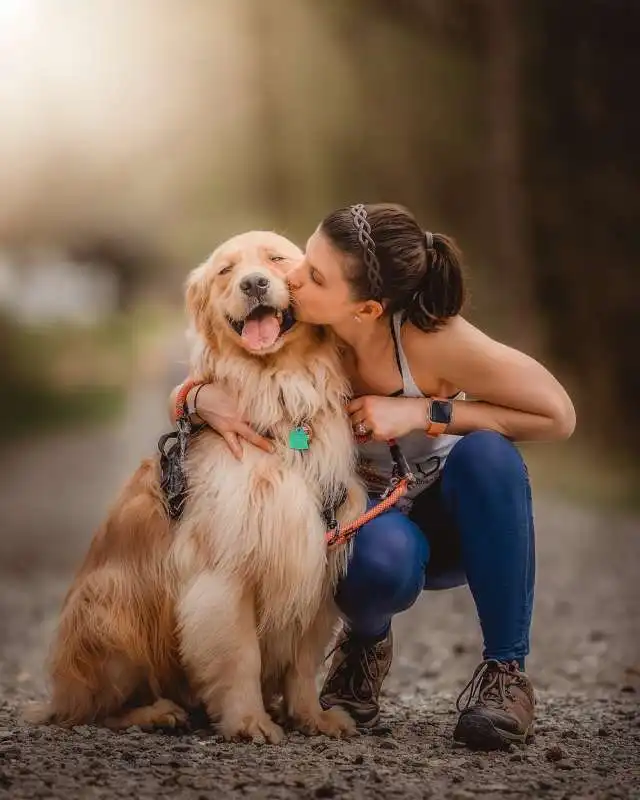 cane e padrone 