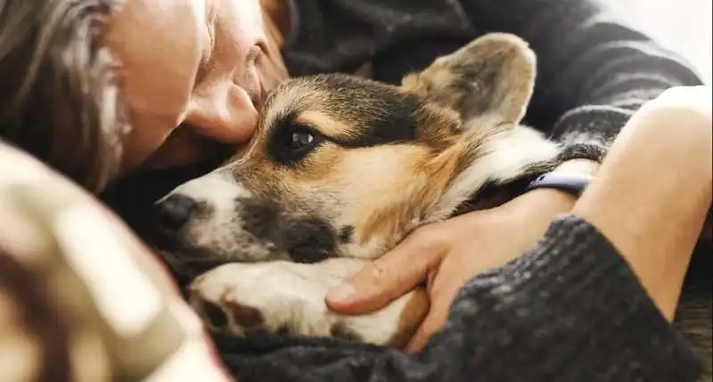 cane e padrone 