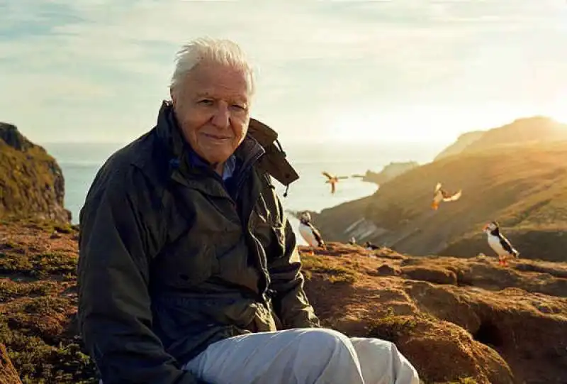 DAVID ATTENBOROUGH 