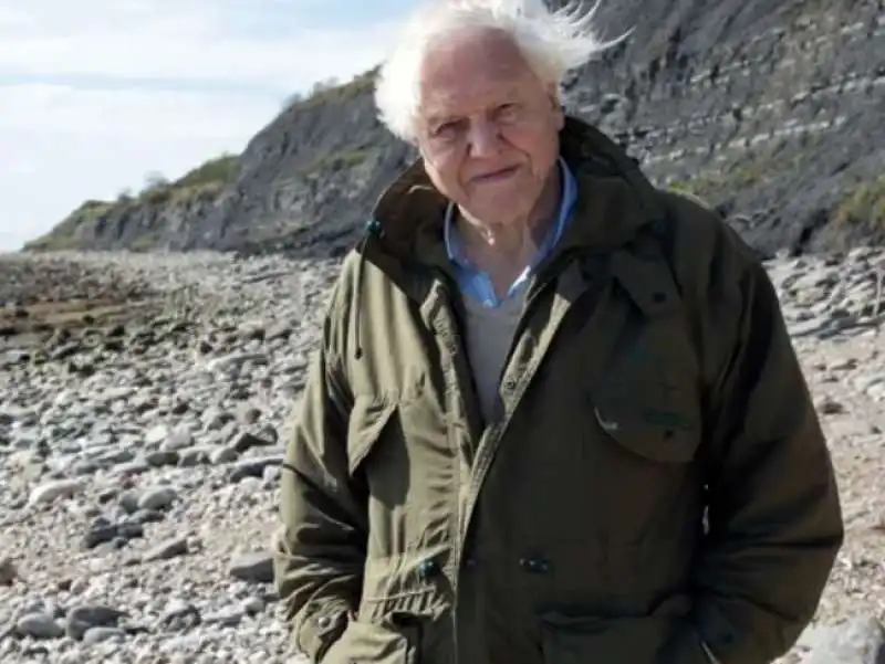 DAVID ATTENBOROUGH