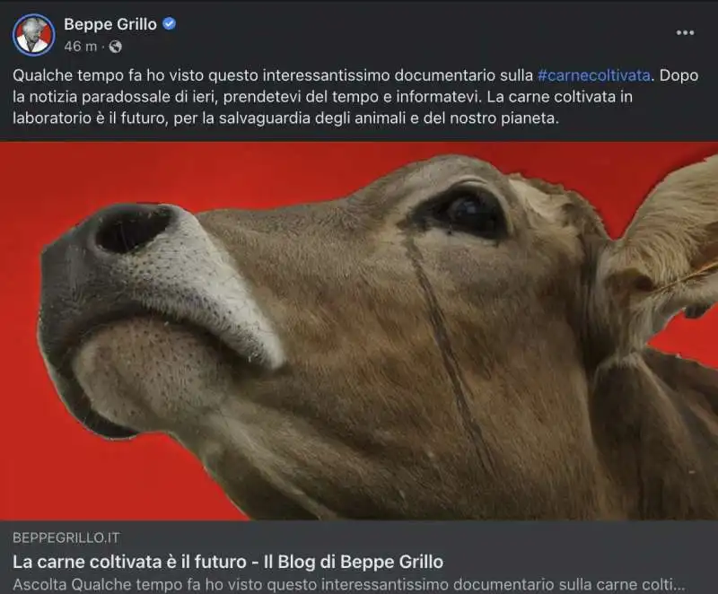 IL POST FACEBOOK DI BEPPE GRILLO IN DIFESA DELLA CARNE SINTETICA