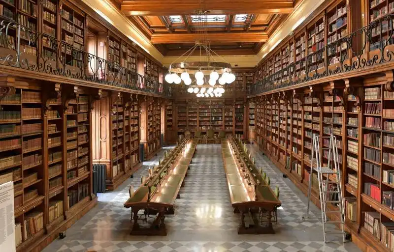 la biblioteca  (2)