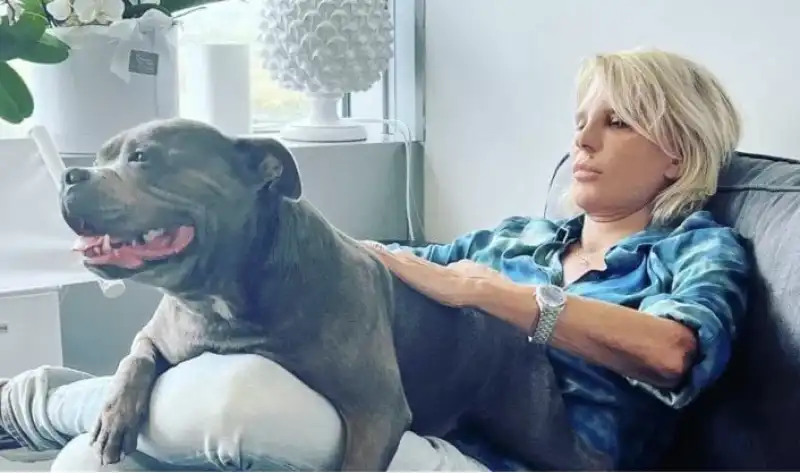 maria de filippi gioca con il cane di raffaella mennoia