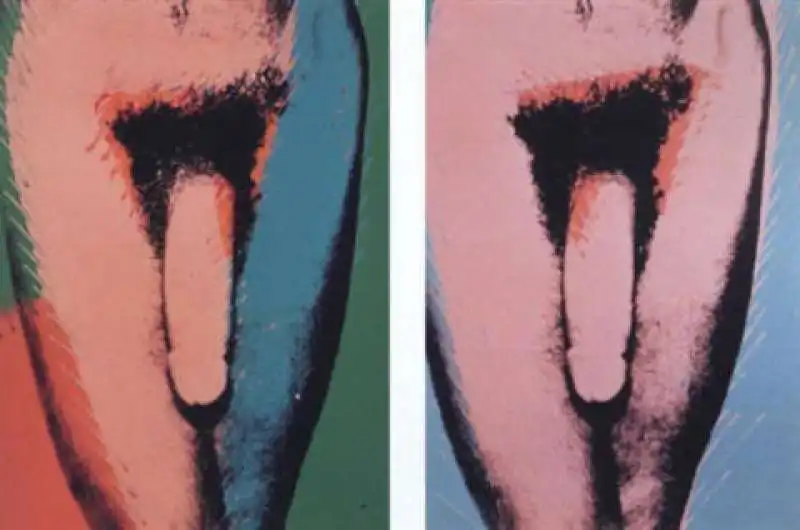 penis di andy warhol 