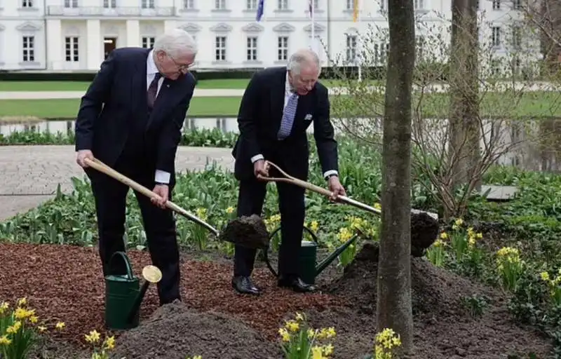 presidente tedesco frank walter steinmeier  piantano un albero