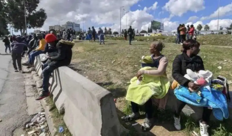 proteste in tunisia contro saied   6