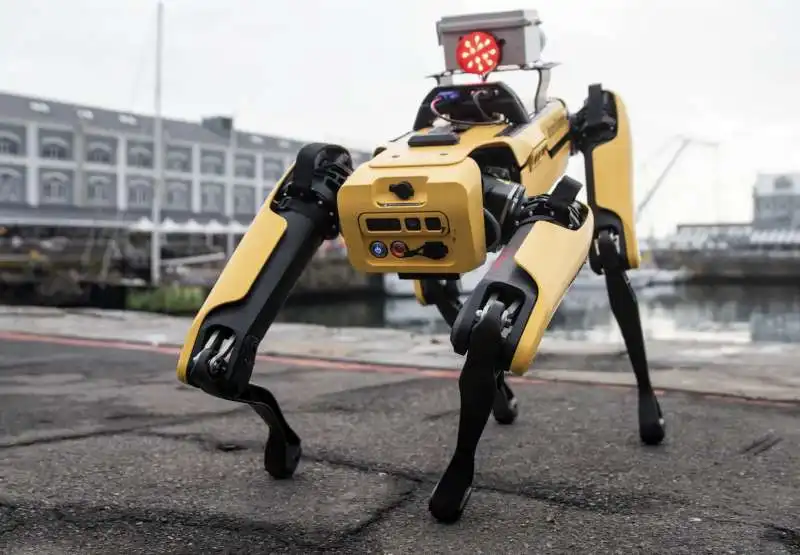 robto boston dynamics 