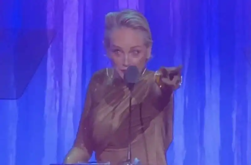 sharon stone al gala di beneficenza 'an unforgettable evening'    5