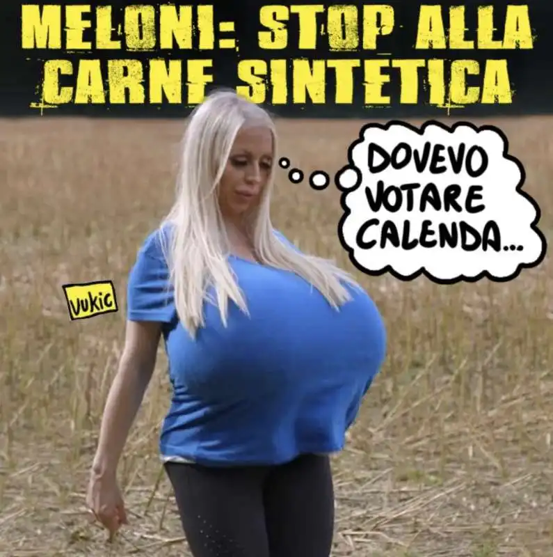 STOP ALLA CARNE SINTETICA - MEME BY Vuchich