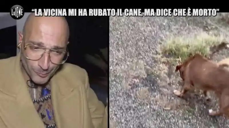 le iene e la storia del cane gustavo 14