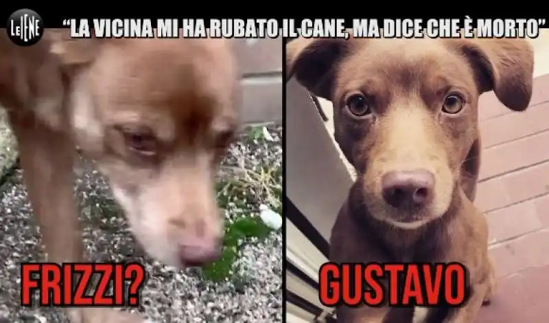 le iene e la storia del cane gustavo 2