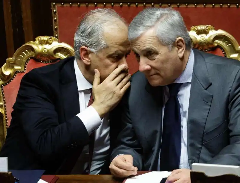 matteo piantedosi   antonio tajani 