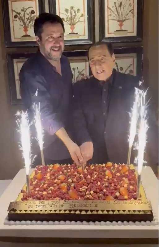 matteo salvini   silvio berlusconi    