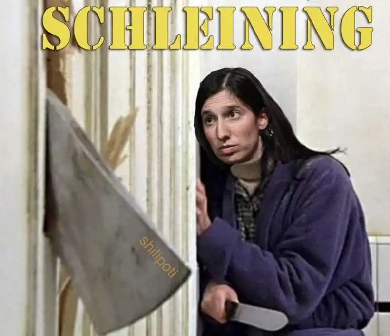 SCHLEINING - MEME BY SHILIPOTI 