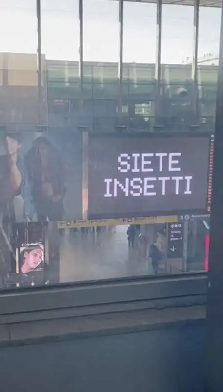 scritte siete insetti sugli schermi di termini 