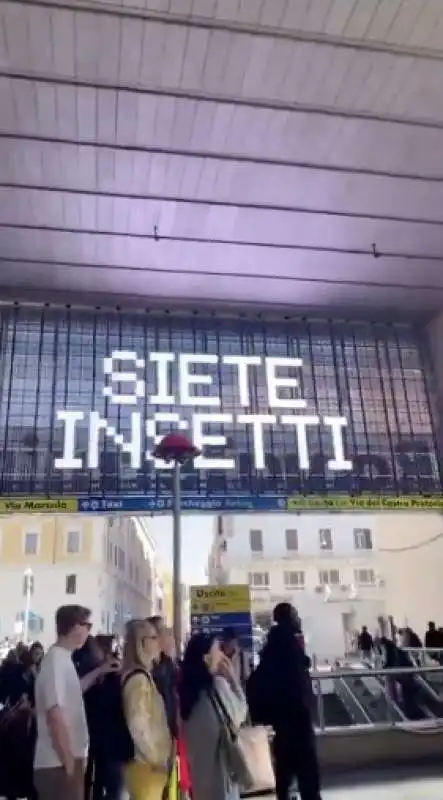 scritte siete insetti sugli schermi di termini 