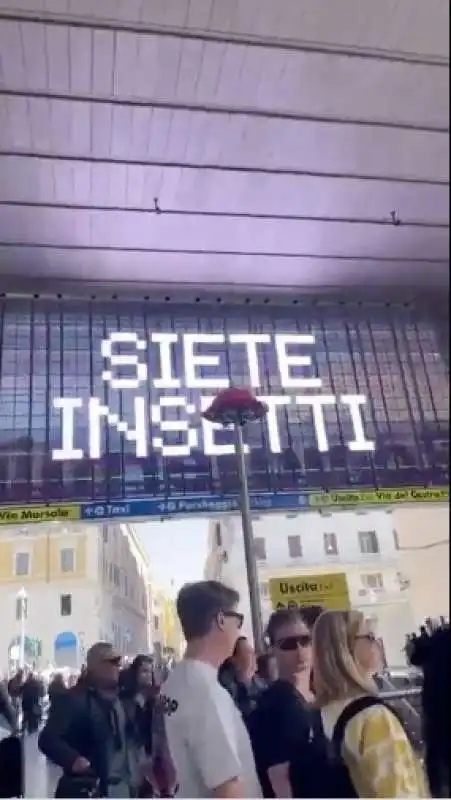 scritte siete insetti sugli schermi di termini 