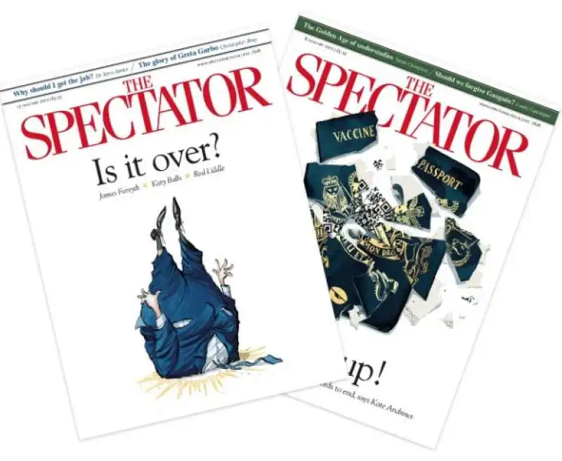 spectator 1