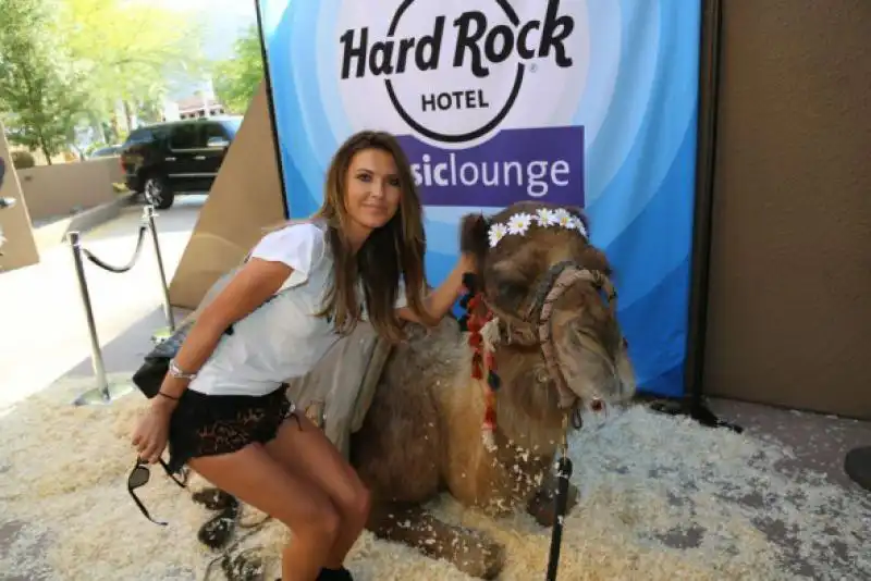 audrina then pet a camel outside of the hard rock music lounge sponsored by owls brew 