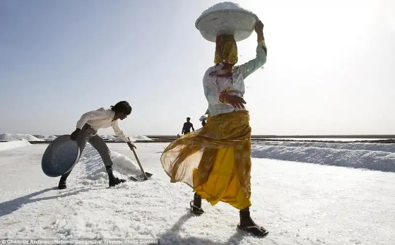 LA FOTO DI CHARLOTTE ANDERSON PER IL NATIONAL GEOGRAPHIC PHOTO CONTEST 