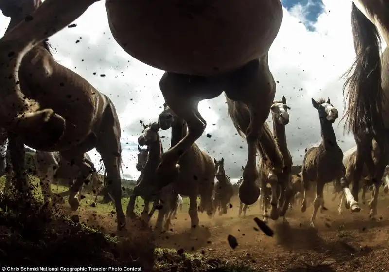 LA FOTO DI CHRIS SCHMID PER IL NATIONAL GEOGRAPHIC PHOTO CONTEST 