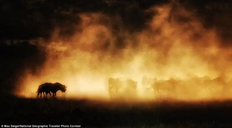 LA FOTO DI MAX SEIGAL PER IL NATIONAL GEOGRAPHIC PHOTO CONTEST 