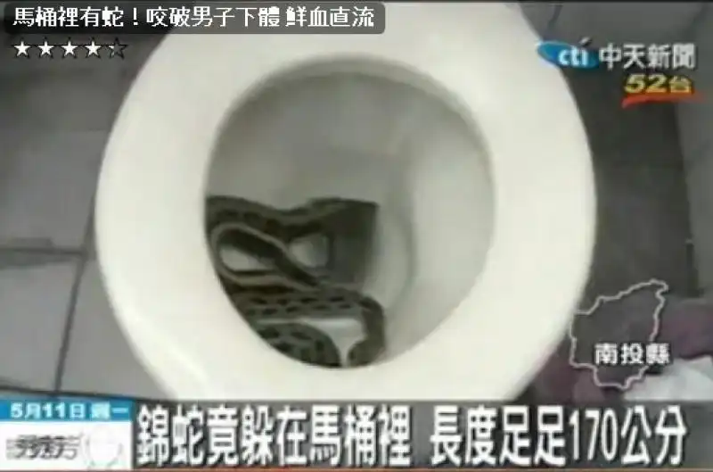 SERPENTE DAL WATER IN CINA 