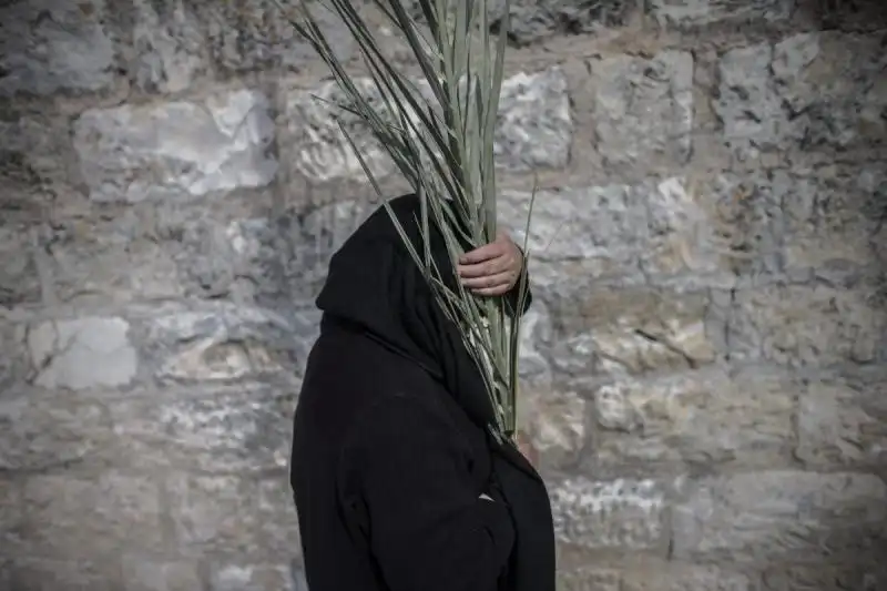 Domenica delle Palme a Gerusalemme 