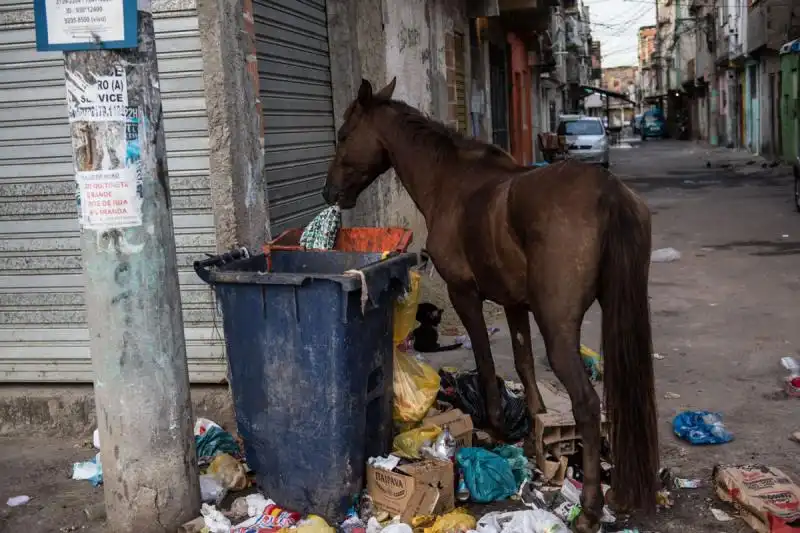 favela Da Mare a Rio De Janeiro 