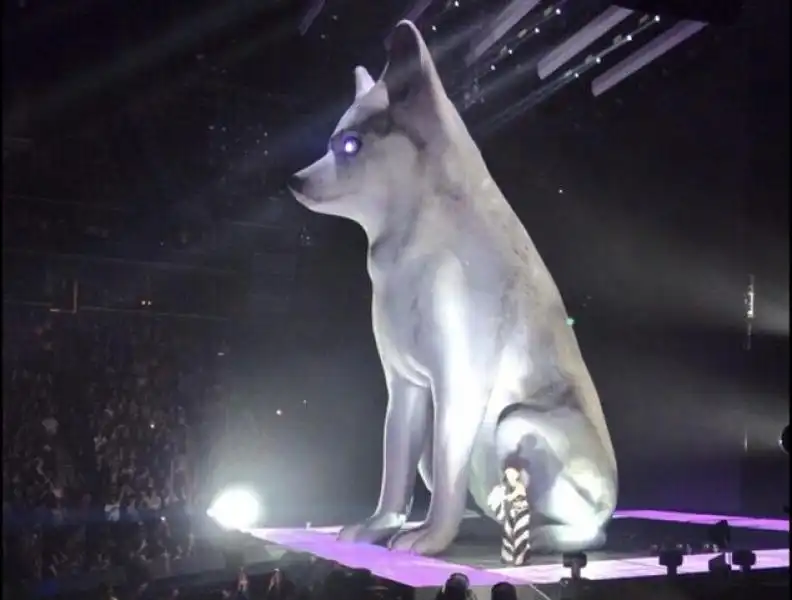 Miley e la gigantografia di Floyd 